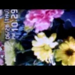 Meet your Posher, Jan