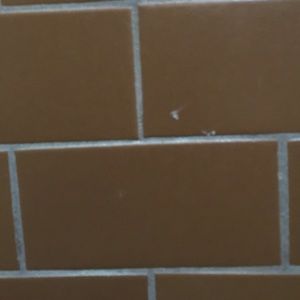 Meet your Posher, Sonny