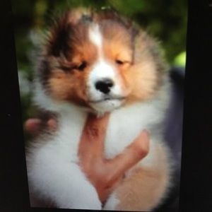 Meet your Posher, Michele