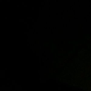 Meet your Posher, Laurie