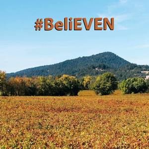 Meet your Posher, Sally