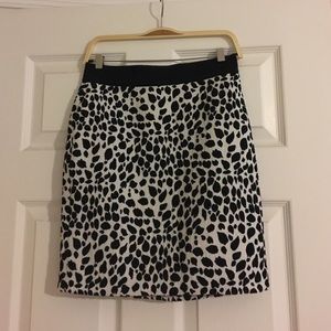 Ann Taylor Skirt Size 00P