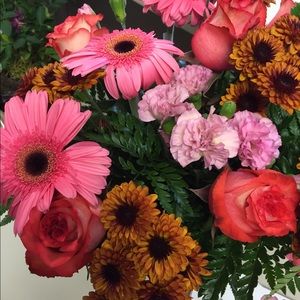 Meet your Posher, Ann