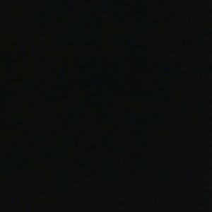 Meet your Posher, Darius