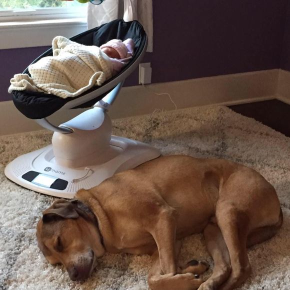 Meet your Posher, Morgan - Picture 1 of 1