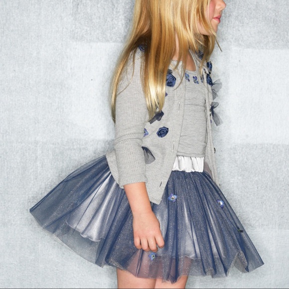 Blue & Grey Satin & Tulle Dress, NWT - Picture 3 of 4