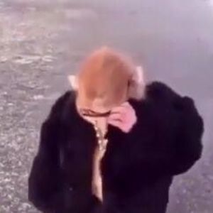 Meet your Posher, Ciddy