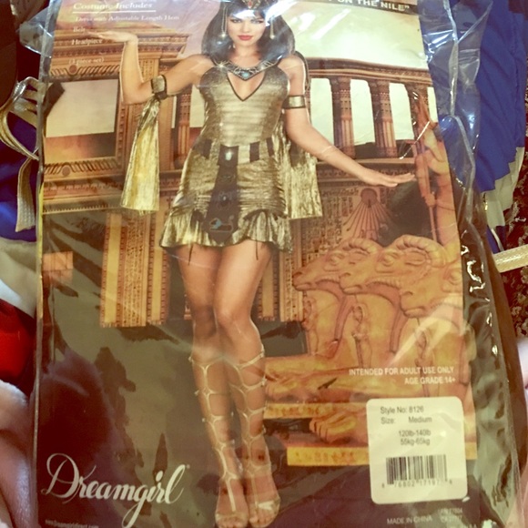 Egyptian goddess costume