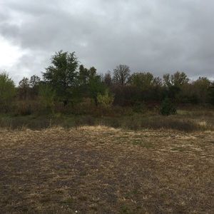 Meet your Posher, Misty