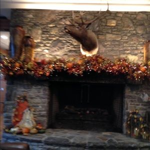 Meet your Posher, Lottie