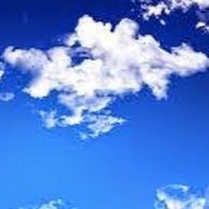 Meet your Posher, Brenna