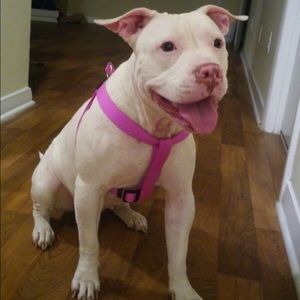 Meet your Posher, Carla