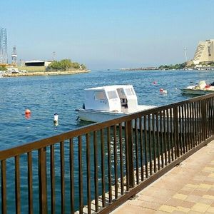 Meet your Posher, Rhonda