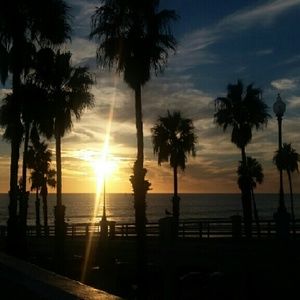 Meet your Posher, Jacqueline