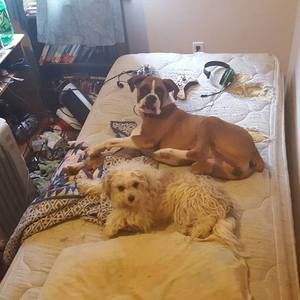 Meet your Posher, Susan