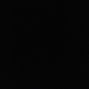 Meet your Posher, Brody