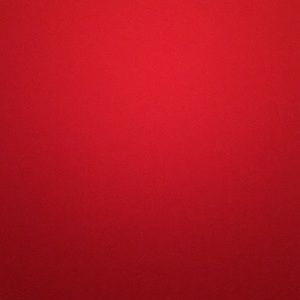 Meet your Posher, Dillon