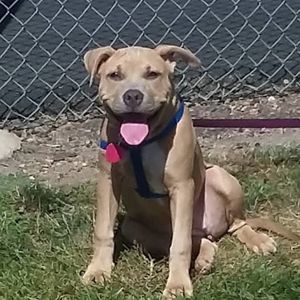 Meet your Posher, Hayward