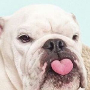 Meet your Posher, Clionadh