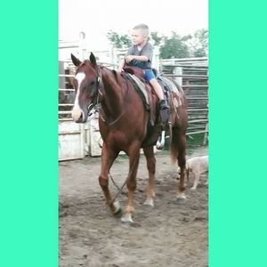 Meet your Posher, Michelle