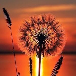 Meet your Posher, Karrina