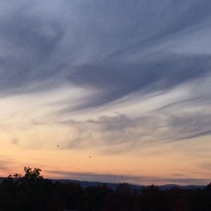 Meet your Posher, Tory