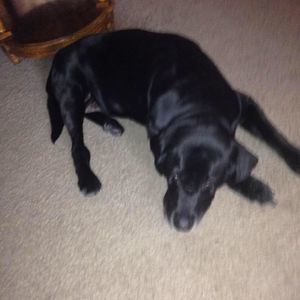 Meet your Posher, Tina