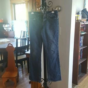 American Rag bootcut jeans sz 5