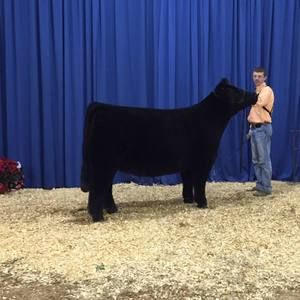 Meet your Posher, Cody