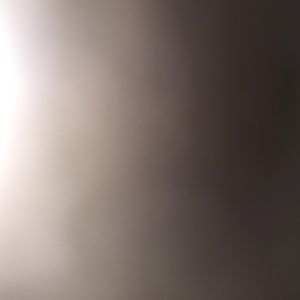 Meet your Posher, Joey