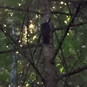 Meet your Posher, Erik