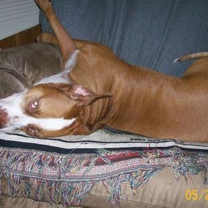 Meet your Posher, Diane