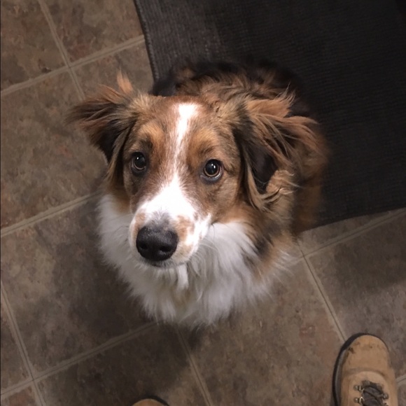 Meet your Posher, Ashley - Picture 2 of 4