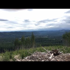 Meet your Posher, Ali