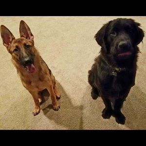 Meet your Posher, Mackenzie