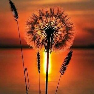 Meet your Posher, Lonnie