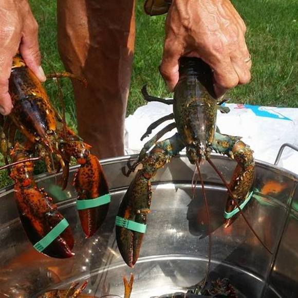 Meet your Posher, Karen - Picture 1 of 1