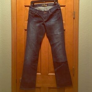 Express Zelda Barely Boot Jeans 8L