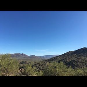 Meet your Posher, Carol