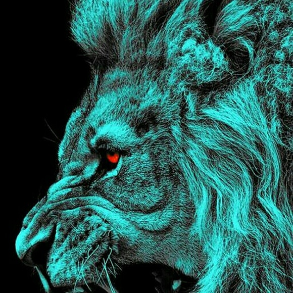 Meet your Posher, Leonard - Picture 1 of 1