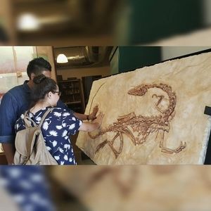 Meet your Posher, Karla