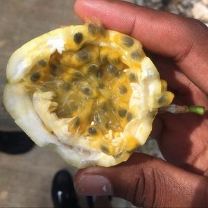 Meet your Posher, Lorenzo