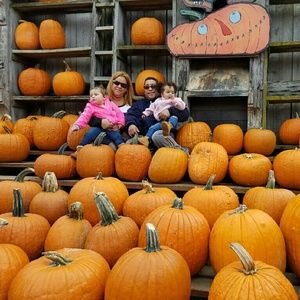 Meet your Posher, Sally