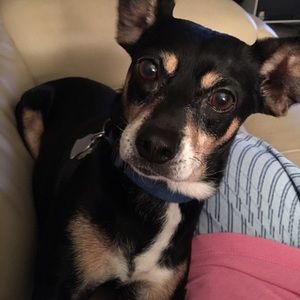 Meet your Posher, Lynn