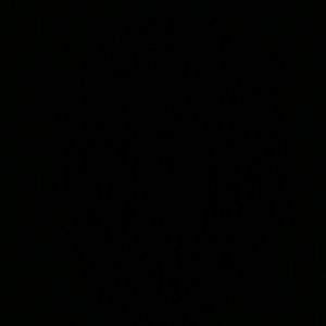 Meet your Posher, Shahira