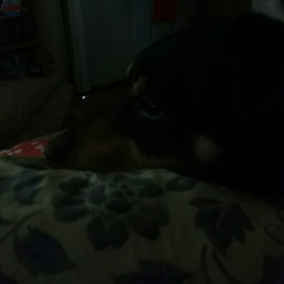 Meet your Posher, Loretta