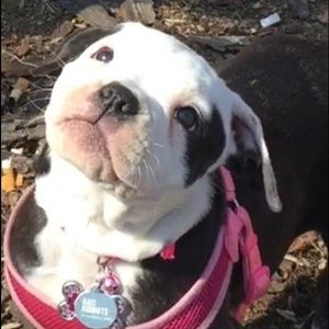 Meet your Posher, Rachel