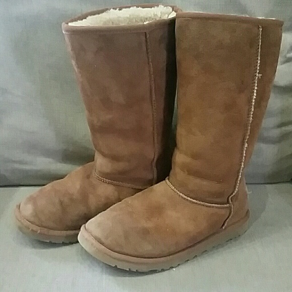 Ugg Chesnut Tall