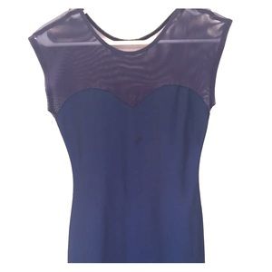 Blue American Apparel Body Con Dress