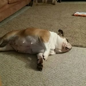 Meet your Posher, Cherish